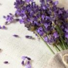 Bringing Your Ideas to Life with Custom and Personalized Orders